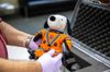 Photograph of a Snoopy toy in a NASA uniform used as a zero gravity indicator on the Artemis I miss