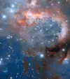 Infant stars in a cloud-like nebula