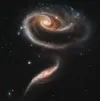Rose-shaped Galaxy