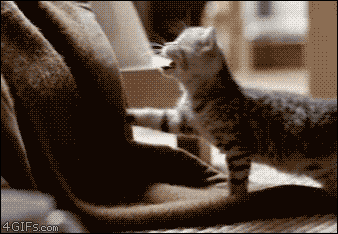 Holiday Season Feature Release #2: It's not a push, it's a Nudge