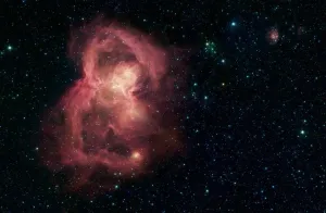 How do I change the text of the Ghost Gift Subscription button?