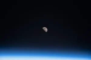 You gotta automate that