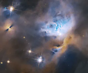Release 3.8.31: Menagerie of Young Stellar Objects