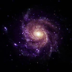 Release 3.22.2: A new class of objects
